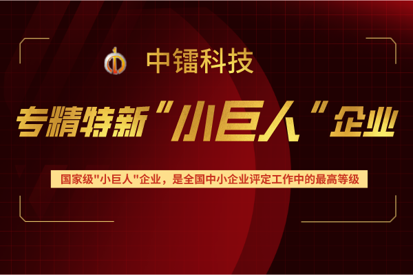 [喜报]公司获评国家级专精特新“小巨人”